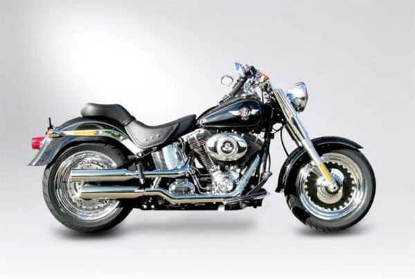 Miller Montana  Euro 3 Slip-On Auspuff  für Harley Davidson Blackline