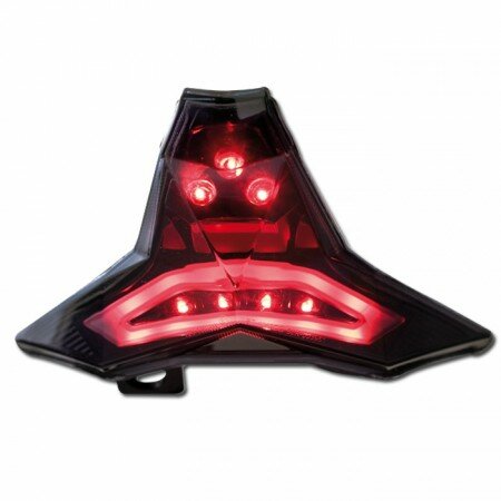 LED-Rücklicht Kawasaki | Z1000 14-20 | ZX10R 16-23 Ninja/Z400 18-20 | getönt | E-geprüft