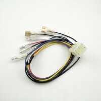 Adapterkabel "RL+Blinker" | Triumph Truxton 16-...