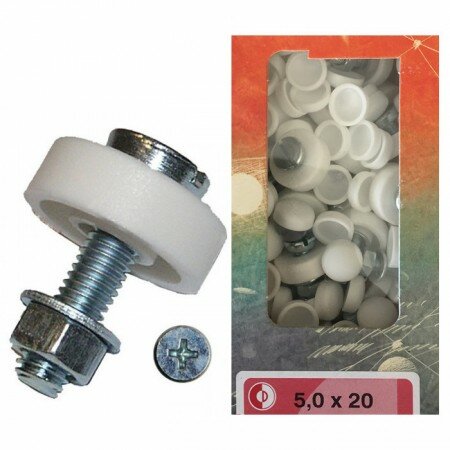 Nummernschildschrauben-Set "M5 x 20" | 100 Stck verzinkt | Kappen weiß