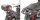 GIVI Topcase Träger für Monokey Koffer, mit M5 Platte f. MP3 Yourban 125-300 (11-18), MP3 300HPE (19-24)