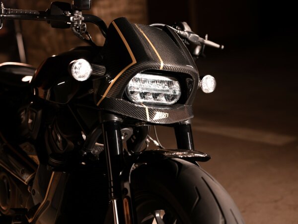 Harley Davidson Sportster S Bj. 2021-2023 Carbon Headlight Fairing Kit 120th Limited Edition