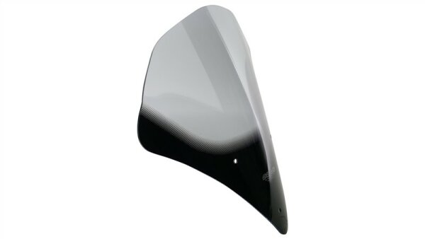 749 / 999 ( RACE PURPOSE ) - Racingscheibe "R" 2005- schwarz