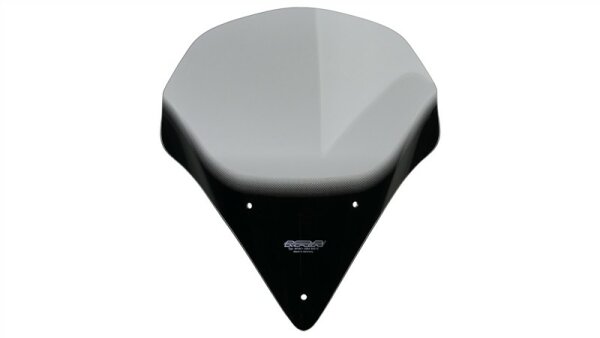 749 / 999 ( RACE PURPOSE ) - Racingscheibe "R" 2005- rauchgrau