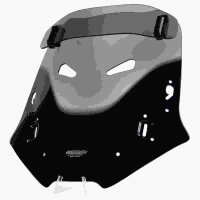 CBF 1000 - Variotouringscreen "VTM" 2006- rauchgrau