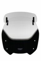 CBF 1000 F - Variotouringscreen "VT" 2010- farblos