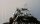 HIGHWAYSHIELD TRANSPARENT - Highwayshield transparent "HITR" alle Baujahre farblos