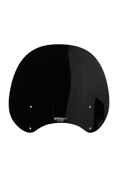 Z 1000 SX - Racingscheibe "R" 2017-2019 farblos