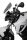 F 800 R - Racingscheibe "R" -2014 rauchgrau