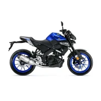 Leovince Evo One Komplettanlage mit KAT Yamaha MT-125 / XSR 125 / YZF-R 125