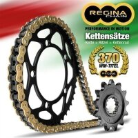 REGINA Kit BMW F800 GS, Bj.`09-`13