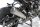 BOS Titan SSEC RR Slip-on konisch rund / Titan Endkappe BMW S 1000 XR Bj. 2020- Euro5 SSEC RR Slip-on