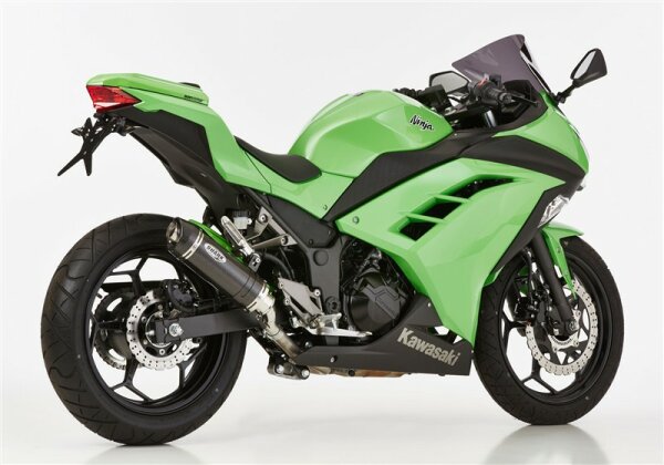SHARK Street GP Slip on Ersatzdämpfer (2-1) Super Short KAWASAKI Ninja 300 EX300A 2013-2016