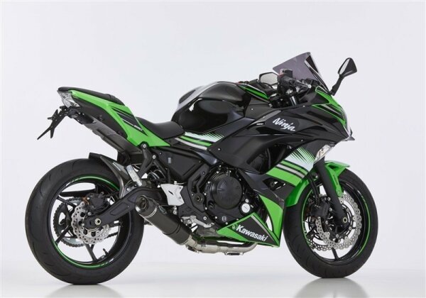 SHARK Street GP Komplettanlage (2-1)  KAWASAKI Ninja 650 EX650K 2017-2019