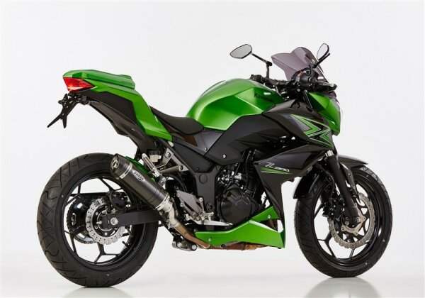 SHARK Street GP Slip on Ersatzdämpfer (2-1) Super Short KAWASAKI Z300 ER300A 2015-2016