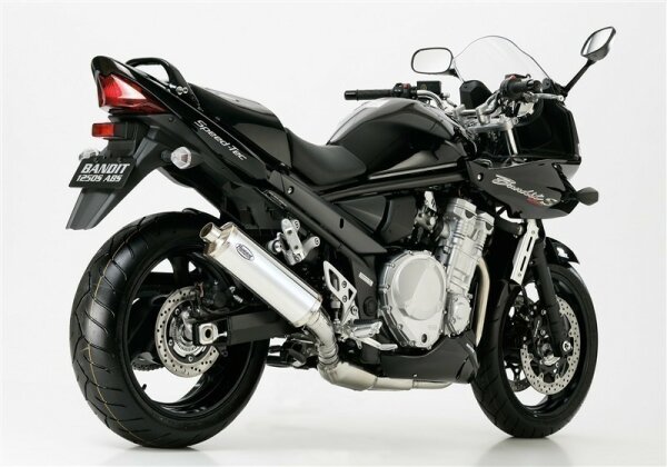 HURRIC Rac 1 Slip on Ersatzdämpfer (4-1)  SUZUKI GSX 650F WVCJ 2008-2016