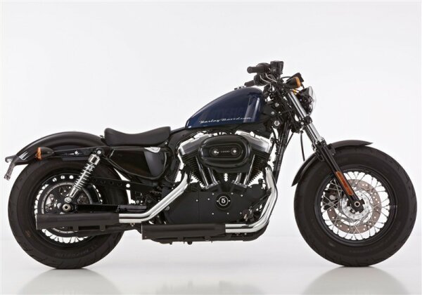 FALCON Double Groove Slip on Ersatzdämpfer Slip on Ersatzdämpfer (2-2)  HARLEY DAVIDSON SPORTSTER XL 883L Super Low XL883L 2017-2020