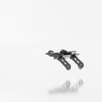 HIGHSIDER pro Kennzeichenhalter Akron-RS Pro Triumph Trident 660