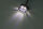 HIGHSIDER smart Modul 2 LED Positionslicht