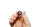 HIGHSIDER smart Micro Pin LED Blinker-Modul Linse Rauchgrau (Paar), Hinten