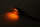 HIGHSIDER smart Spark LED Blinker Gehäuse Schwarz / Linse Rauchgrau (Paar), Vorn & Hinten