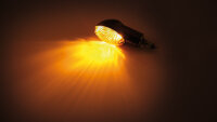 HIGHSIDER smart Cateye Glühlampen Mini-Blinker Gehäuse Schwarz / Linse Rauchgrau (Paar), Vorn & Hinten