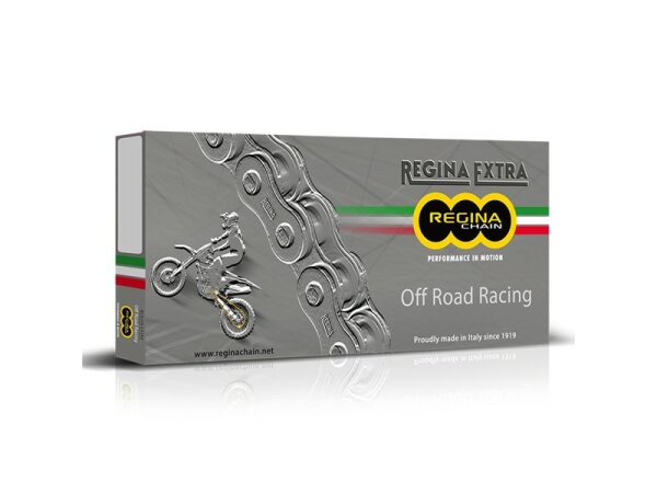 REGINA Kette 520-GPXV 120 offen+2Niet+1Clip