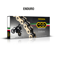 REGINA Z-Ring Kette 525-ZREO 118 offen+Niet