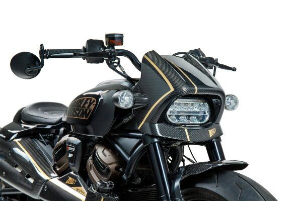 Zard Harley Davidson Sportster S Bj. 2021-2024 Carbon / Alu Parts 120th Limited Edition