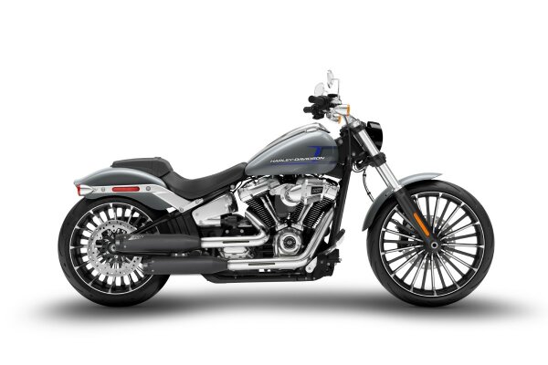 Zard Harley Davidson Breakout 117 Bj. 2017-2024 Slip on 2-2
