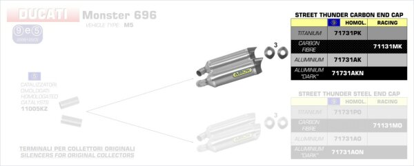 ARROW Thunder Carbon (rechts+links) Ducati Monster 696/796/1100 08-14