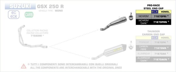 ARROW Pro-Race Edelstahl SUZUKI GSX 250 R 17-20