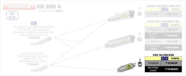 ARROW GP2 Dark" silencers kit" Honda CB 300 R 18-19