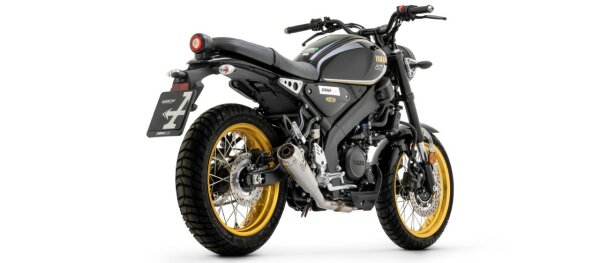 ARROW Pro-Race Edelstahl Yamaha YZF-R 125/MT 125/XSR 125 -22