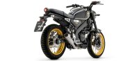 ARROW Pro-Race Edelstahl Yamaha YZF-R 125/MT 125/XSR 125 -22