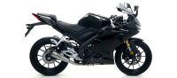 ARROW Pro-Race Edelstahl Yamaha YZF-R 125/MT 125/XSR 125 -22