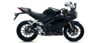 ARROW Pro-Race Edelstahl schwarz Yamaha YZF-R 125/MT...