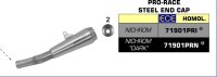 ARROW Pro-Race Edelstahl Honda CB 500 F 19-