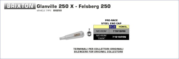 ARROW Pro-Race Edelstahl BRIXTON GLANVILLE/FELSBERG 250 19-20
