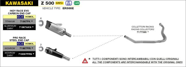 ARROW Pro-Race Edelstahl KAWASAKI Z 500 2024-2025, Ninja 500 2024