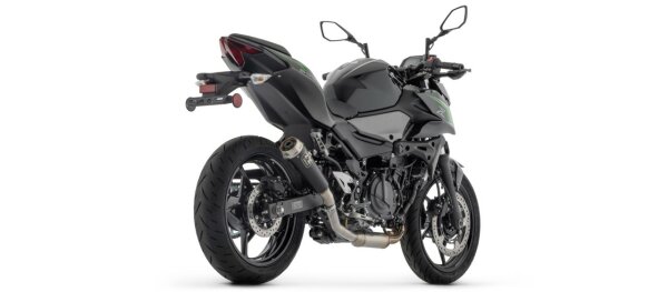 ARROW Pro-Race Edelstahl schwarz KAWASAKI Z 500 2024-2025, Ninja 500 2024