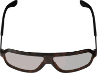Leatt Sunglasses TheViz Andes Brown Polarized Brown/Silver 20 VLT braun