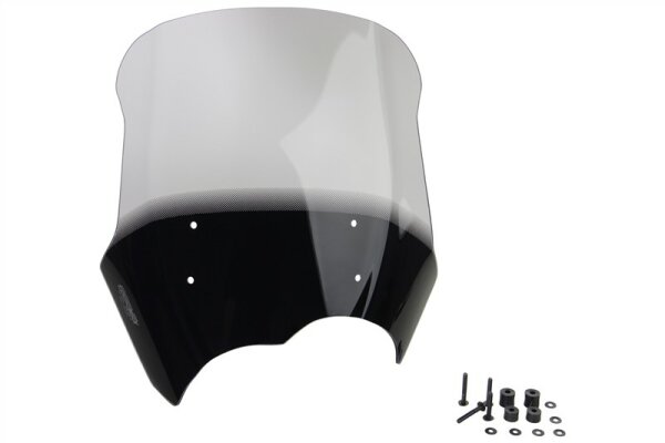 CBR 900 RR - Racingscheibe "R" 2002- farblos