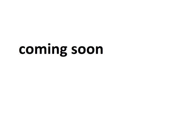 SPRINT ST 955 - Originalformscheibe "O" 1999-2004 rauchgrau