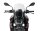 CBR 600 F / S - Spoilerscheibe "S" 2001-2010 farblos