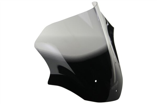 PANIGALE V4 /S 18-19 V2 20-24 - Racingscheibe "R" 2018- rauchgrau