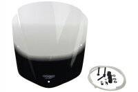 MULTISTRADA V4 / PIKES PEAK - Tourenscheibe...