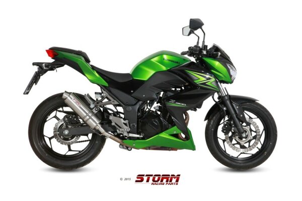 Storm by MIVV GP Kawasaki Ninja 300 R ´13/16 - Z 300 ´15/16