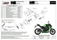 MIVV GP Pro Edelstahl Kawasaki Z 900 20-22
