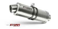 Storm by MIVV GP Edelstahl BMW G 310 R 18-23